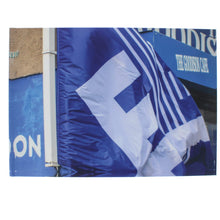 Load image into Gallery viewer, Forever everton by Laura Gates