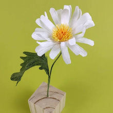 Load image into Gallery viewer, Ox-eye daisy paper flower craft kit
