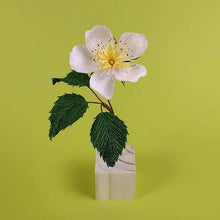 Load image into Gallery viewer, Wild rose paper flower craft pack