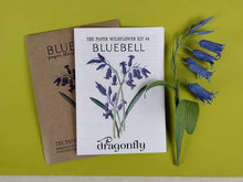 Load image into Gallery viewer, Bluebell paper flower craft kit