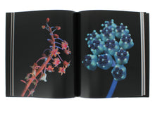 Load image into Gallery viewer, What the Bees See