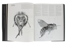 Load image into Gallery viewer, What the Bees See