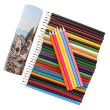 Load image into Gallery viewer, Rocks Scilly colouring pencil tin