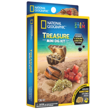 Load image into Gallery viewer, Treasure Mini Dig Kit
