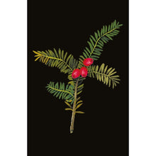 Load image into Gallery viewer, Winter foilage christmas card pack