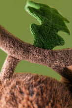 Load image into Gallery viewer, Amuseables Ort &amp; Tum Acorns