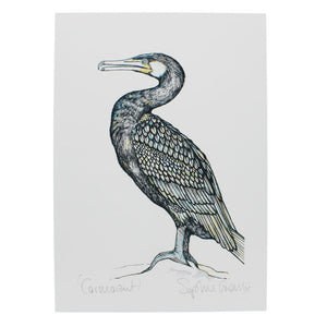 Cormorant bird A4 print