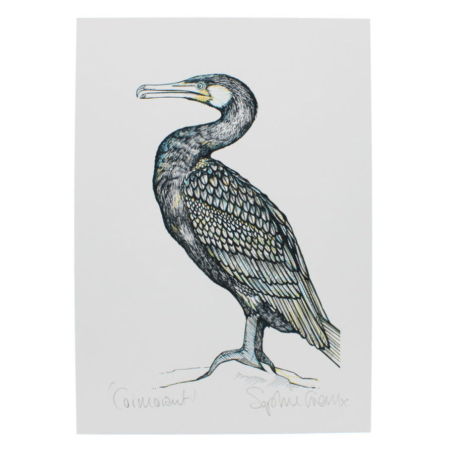 Cormorant bird A4 print