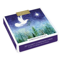 Load image into Gallery viewer, Christmas flight christmas card pack