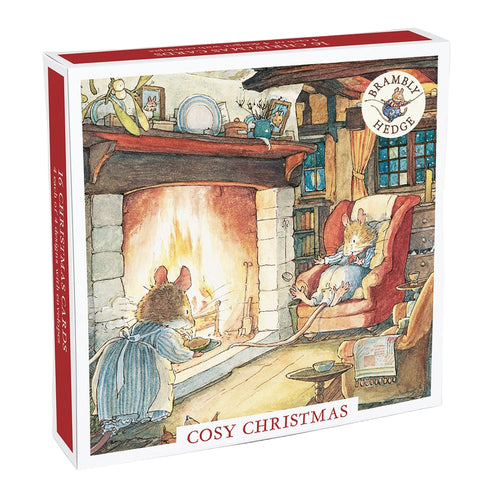 Box of Brambly Hedge cards titled 'Cosy Christmas' with illustration of mice by a fireplace.