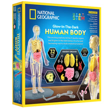 Load image into Gallery viewer, Human Body Science Kit