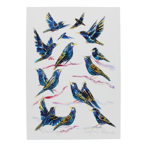 Starlings birds A4 print