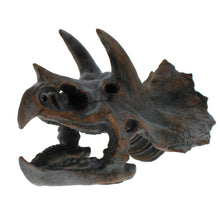Load image into Gallery viewer, Triceratops skull