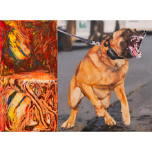 Load image into Gallery viewer, Dog by Colin Crumplin