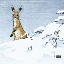 Load image into Gallery viewer, Winter woodcuts christmas card pack