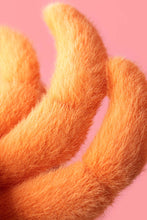 Load image into Gallery viewer, Pinchsnap Crab