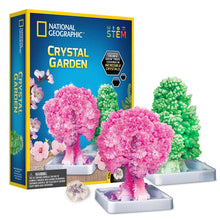Load image into Gallery viewer, Crystal Garden Kit