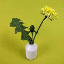 Load image into Gallery viewer, Dandelion wildflower craft kits