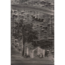 Load image into Gallery viewer, Decorum and Despair by Christopher Cook