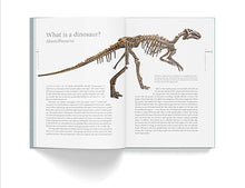 Load image into Gallery viewer, A history of dinosaurs in 50 fossils