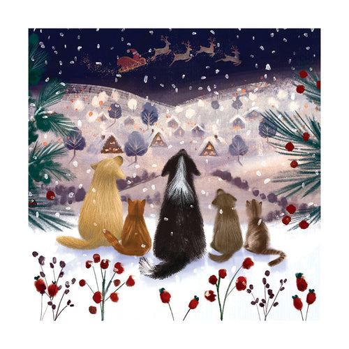 A Winter's Tail Christmas cards - pack of 8