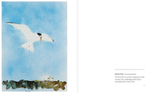 Load image into Gallery viewer, More Birds: paintings of British birds