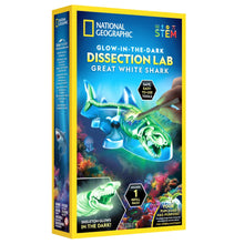 Load image into Gallery viewer, Great White Shark Dissection Lab