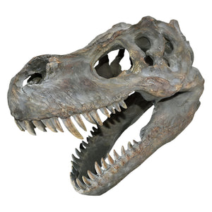 T-rex wall hanging skull