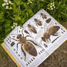 Load image into Gallery viewer, The Book of Bees