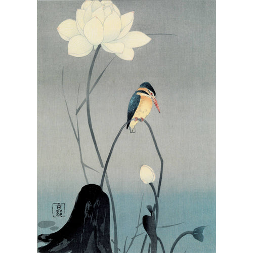 Kingfisher and lotus print