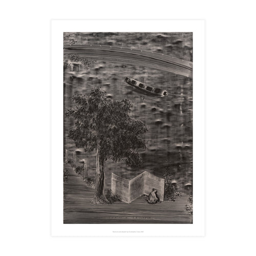 Decorum and Despair by Christopher Cook