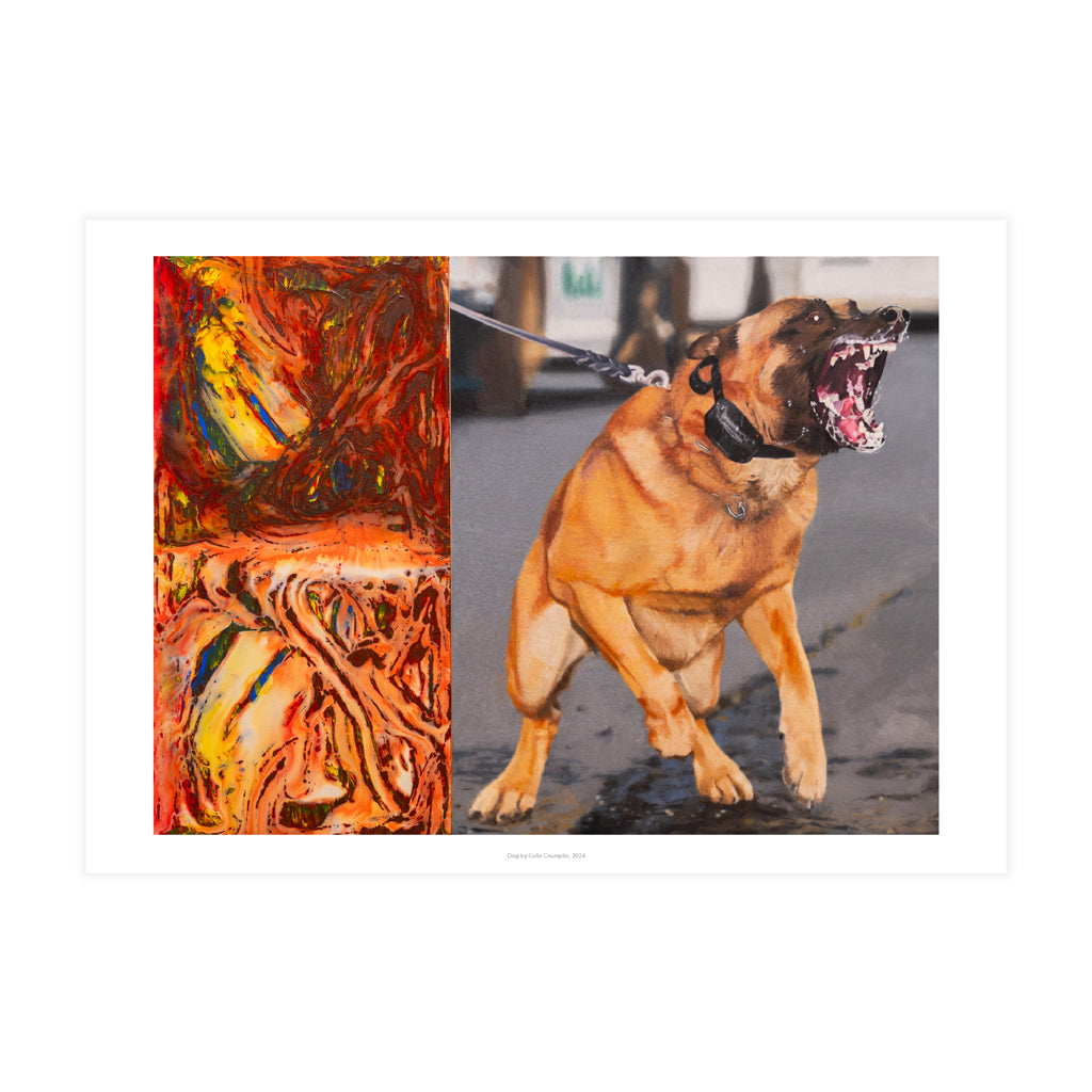 Dog by Colin Crumplin