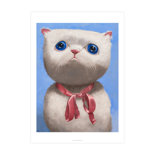 Kitten by Dan Davis
