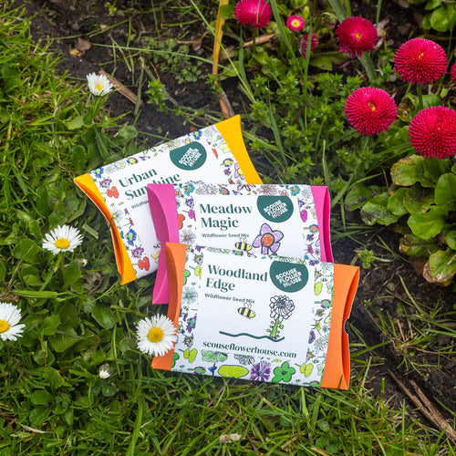 Wildflower seed mix by Scouse Flowerhouse