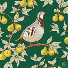 Load image into Gallery viewer, Winter birds christmas card pack