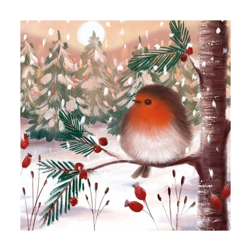 Fluffy Robin Christmas cards - pack of 8