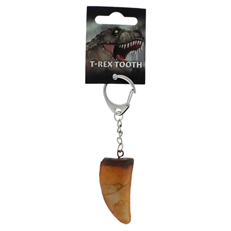 T-rex tooth keyring