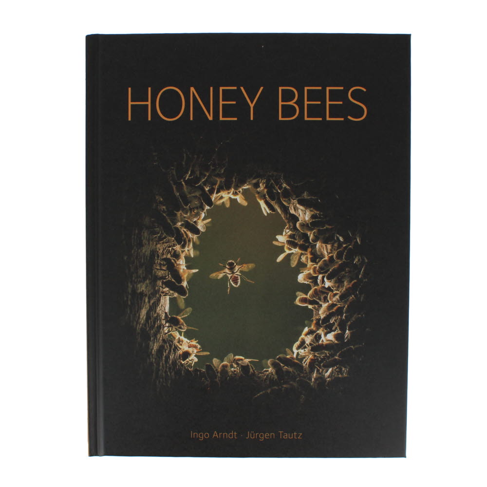 Honey Bees | National Museums Liverpool Shop