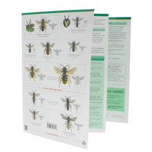 Load image into Gallery viewer, WildID Bees of Britain Guide