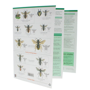 WildID Bees of Britain Guide