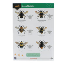 Load image into Gallery viewer, WildID Bees of Britain Guide