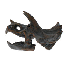 Load image into Gallery viewer, Triceratops skull