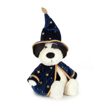 Load image into Gallery viewer, Rufferty Puppy Wizard