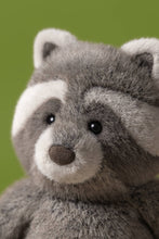 Load image into Gallery viewer, Trixiwoo Raccoon