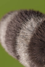Load image into Gallery viewer, Trixiwoo Raccoon