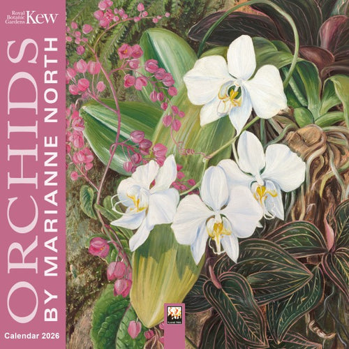 Kew gardens orchids 2026 mini calendar
