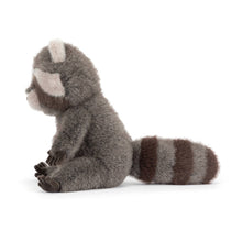 Load image into Gallery viewer, Trixiwoo Raccoon