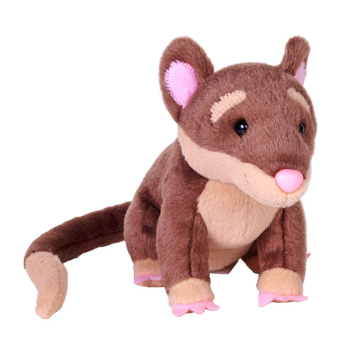 Splendors eco four-eyed opossum