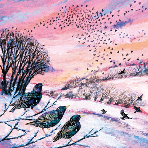 Winter Murmurations Christmas cards - pack of 5