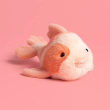 Load image into Gallery viewer, Fancy Carp